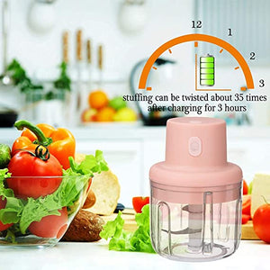 ELECTRONIC 4 EVER 45W Electric Chopper Mixer, Pink