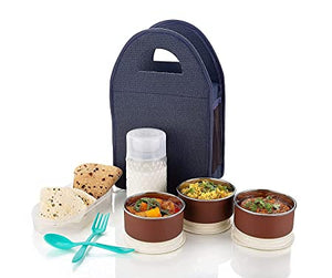 Stainless Steel Lunch Box - Tiffin Box with Bag and 2 Spoon for Office use, Student, Women, Men, Girls (Multi Color - BT 1